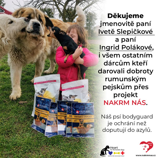 Heart for romanian dogs 14.4